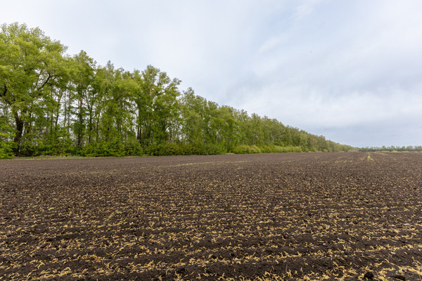 Купить  участок